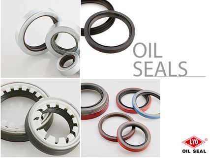 Oil Seals